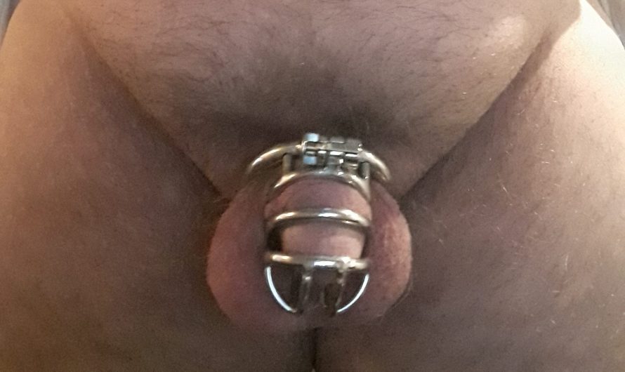 My sissy chastity cage