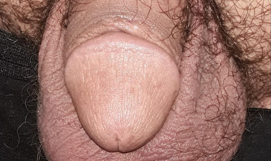 Rate my pathetic cock