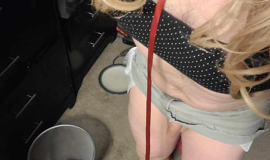 Sissy Jess loves being leashed up with her clitty showing